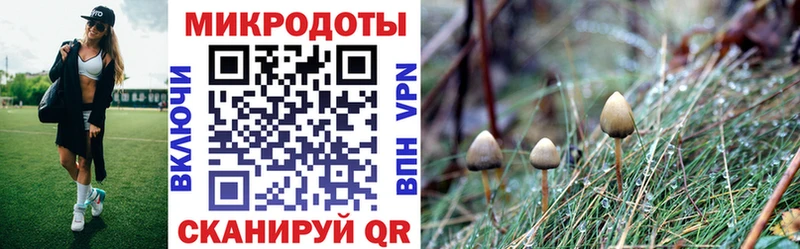 ссылка на мегу вход  Тюмень  Галлюциногенные грибы Cubensis 